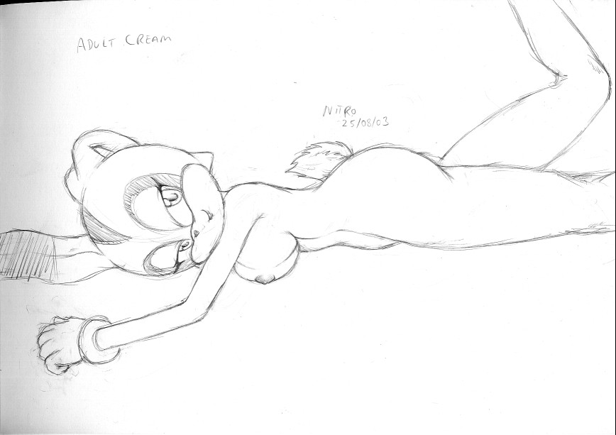 Nitro CD Art page 11 full