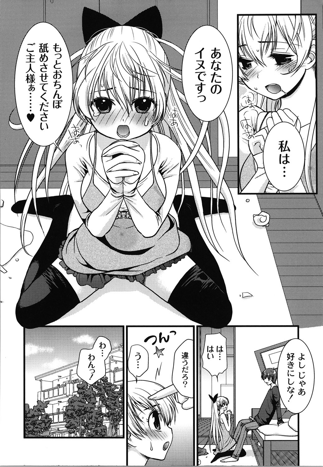 Wancoin page 11 full