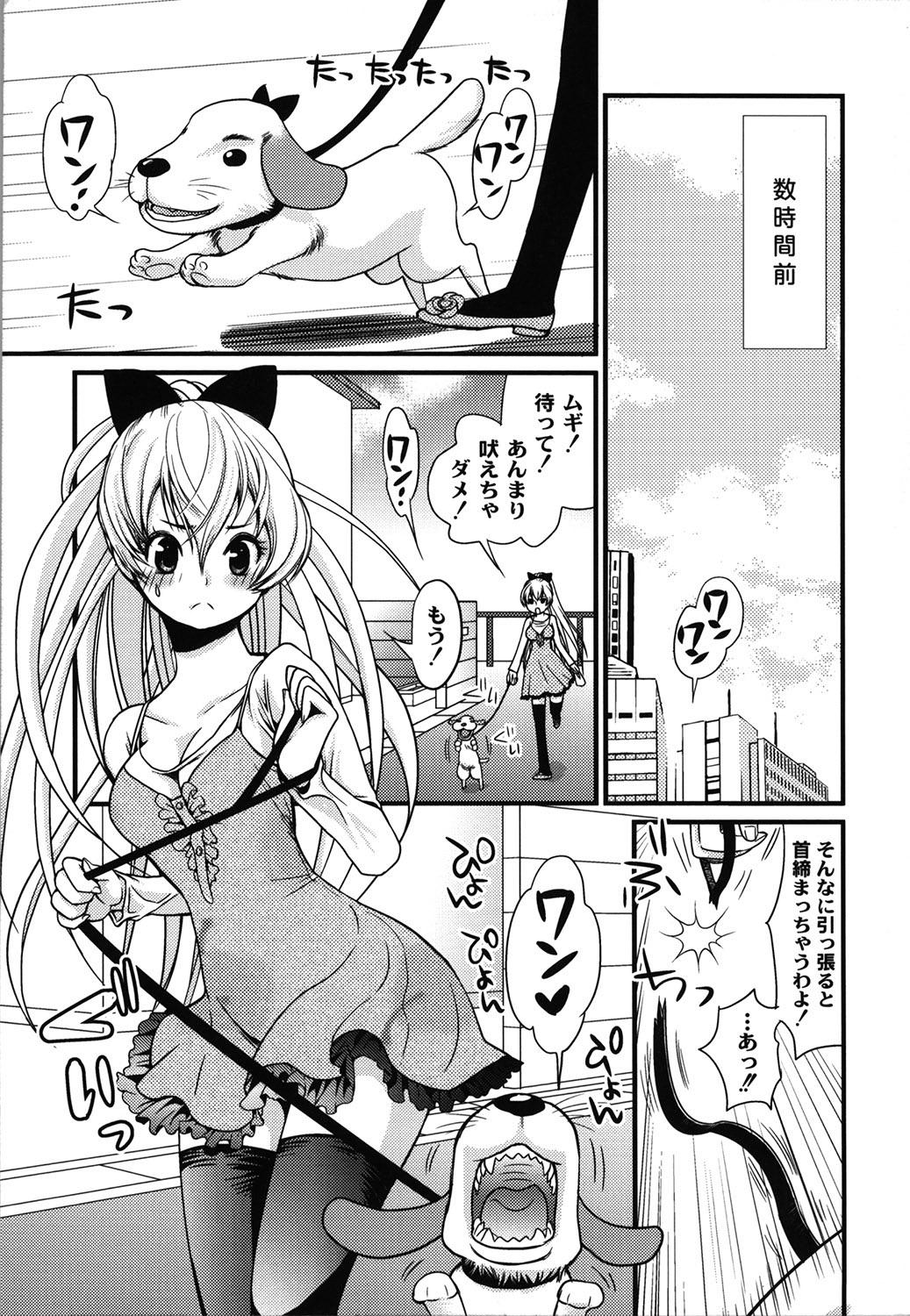 Wancoin page 12 full