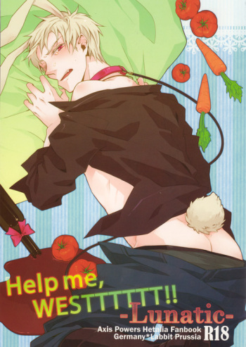 [LUNATIC] Help me, westttttt!! (Axis Powers Hetalia) cover