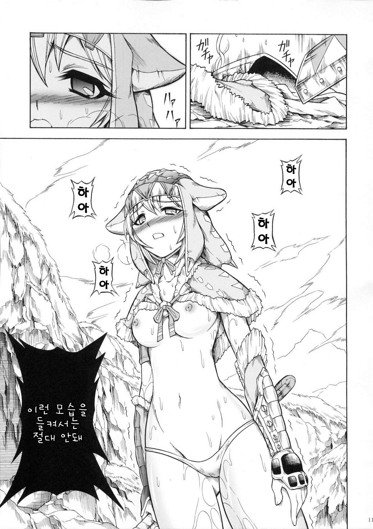 Solo Hunter no Seitai 3 page 10 full