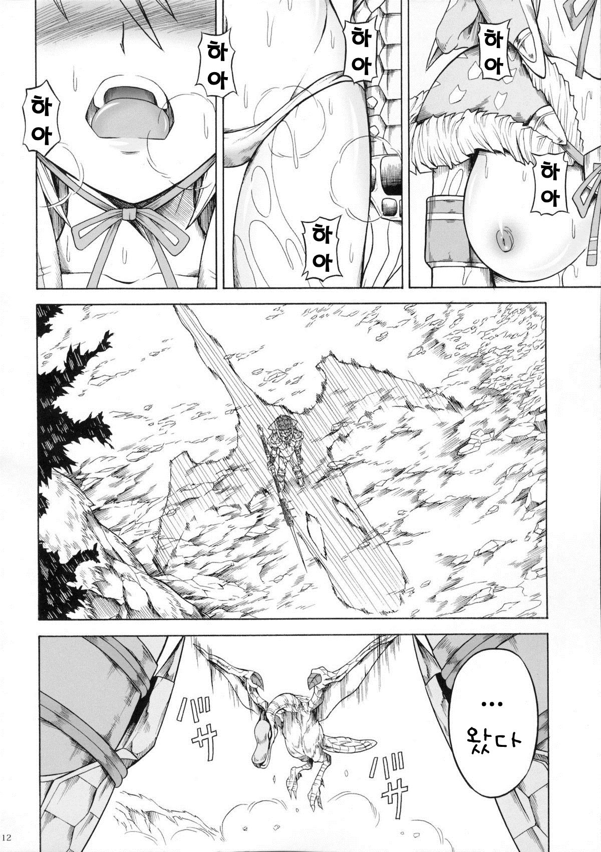Solo Hunter no Seitai 3 page 11 full