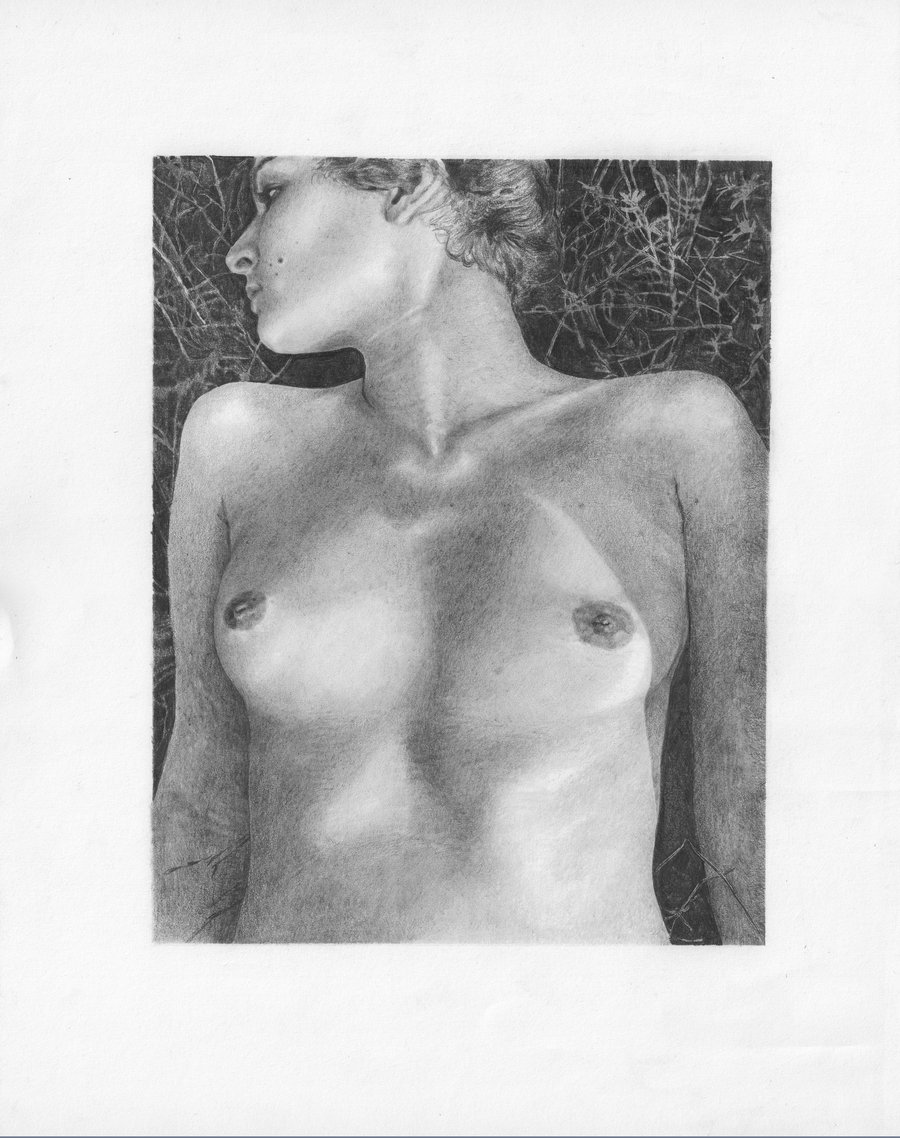 Erotic Art Collector 0203 GUILLERMO DEL LUCA page 1 full