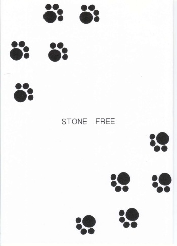 (CR33) [BLACK DOG (Kuroinu Juu)] Stone Free (Jarinko Chie) cover