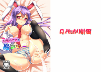 [Tsuki no Hikari Keikaku (Yuki Higasinakan, Tokyo Yamane)] Hatsujou Usagi wo Shokushin-chu (Touhou Project) [Digital] cover