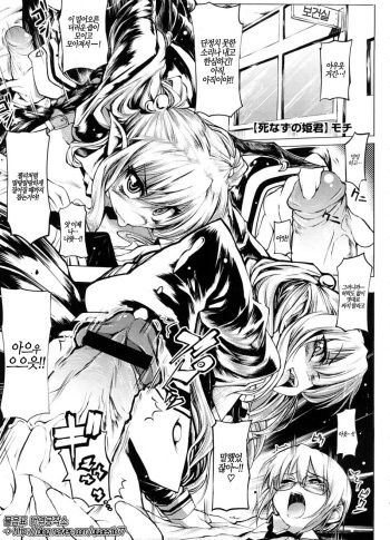 [Mochi] Shinazu no Himegimi Ch. 1-10 [Korean] cover