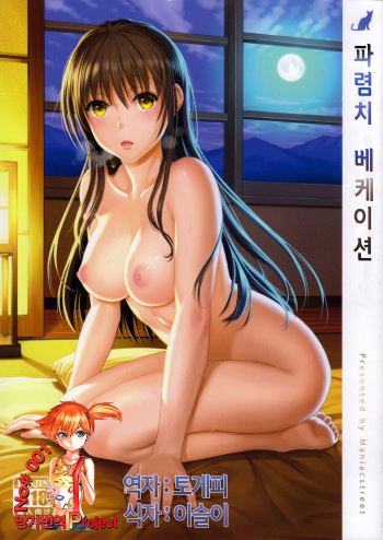 (C85) [ManiacStreet (Sugaishi, Oono)] Harenchi Vacation (To LOVE-Ru) [Korean] [Team Mystic] cover