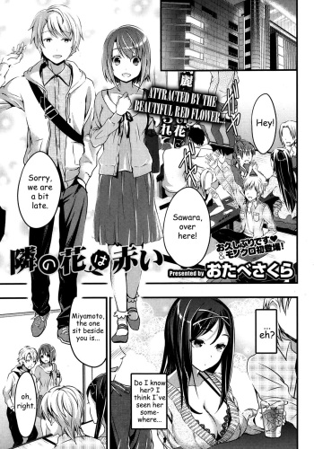 [Otabe Sakura] Tonari no Hana wa Akai | The red flower nearby (COMIC HOTMiLK 2013-11) [English] cover