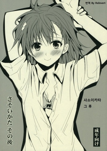 (C77) [Takumi na Muchi] Sasoikata Sonogo (Toaru Kagaku no Railgun) [Korean] [ReInvert] cover