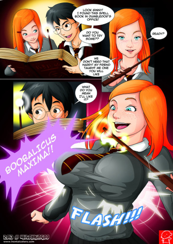 [Witchking00] Harry Potter and the Forbidden Spells (Harry Potter) cover
