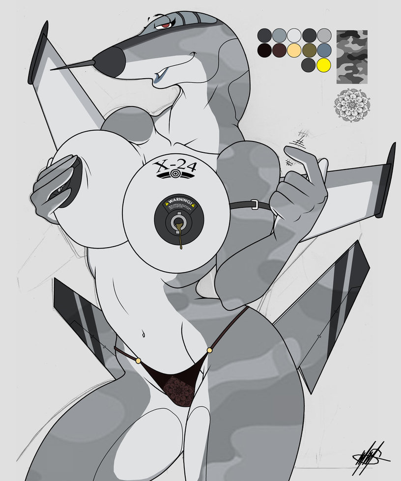aeromorph gallery page 11 full