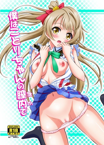 [GUST (Harukaze Soyogu)] Boku wa Kotori-chan no Naka de (Love Live!) [Digital] cover