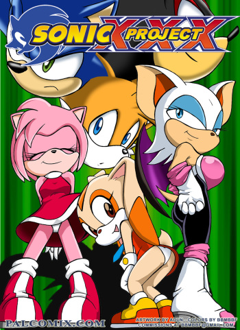 [Palcomix] Sonic Project XXX 1 (french) cover