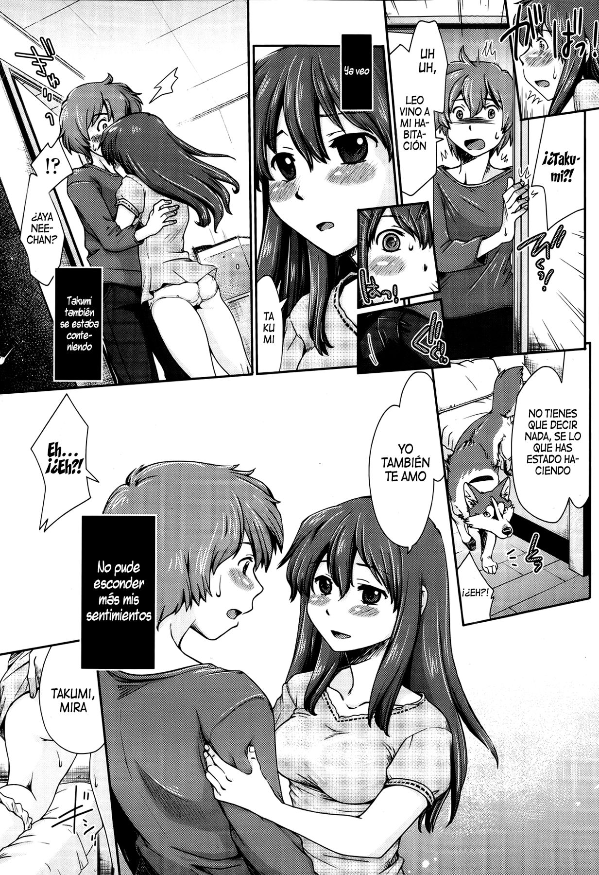 Hentai Kyoudai to Inu | Los hermanos pervertidos y su perro page 11 full