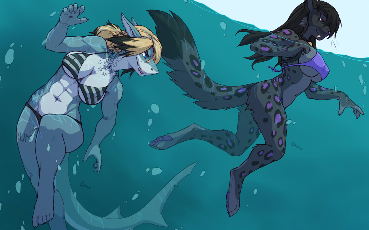 Shark Pool page 1 full