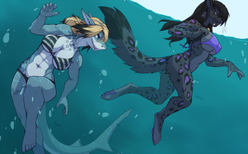 [Wolfy-Nail] Shark Pool cover