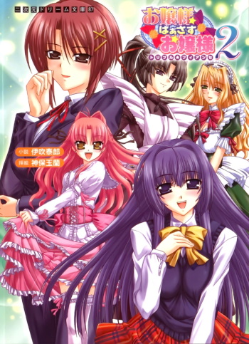 [Ibuki Yasuro × Sinbo Tamaran] Ojousama Versus Ojousama Double ★ Fiancée Vol.2 cover
