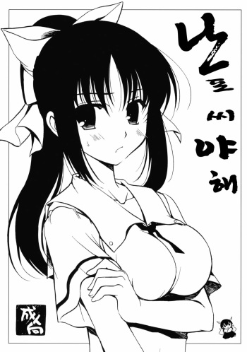 (CosCafe23) [VISTA (Odawara Hakone)] Nanpo-san Eroi (Saki) [Korean] cover