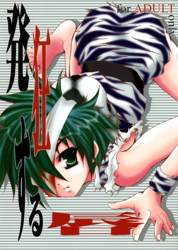 (CR35) [TACHIMUKAU (Nishikawa Coto)] Hakkyou Suru Kuchibiru (Sengoku Musou) cover