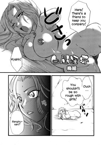 (C70) [Mandaruma (Ume-gumi)] Mandaruma vol. 2 (Bleach) [English] =LWB= [Incomplete] cover