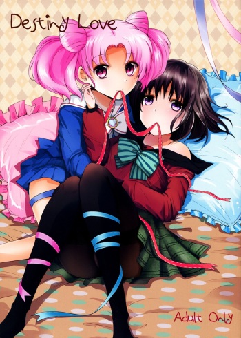 (C83) [momoirohoppe (Rei)] Destiny Love (Bishoujo Senshi Sailor Moon) [English] [Yuri-ism & Life4Kaoru] cover