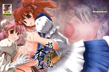 (Reitaisai 9) [Sekitan Bukuro (Fey Tas)] dodonpai DAI-OU-JOU (Touhou Project) cover