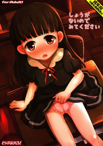 (C84) [Triple Pinch! (Hikami Izuto)] Shouganainode Mite Kudasai [English]  [Yuzuru Katsuragi] cover