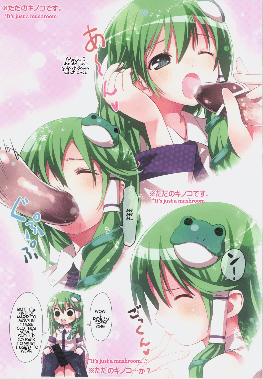 KICHIKU MIKO SANAE ToHo Seirensen Kouryakuhon | Touhou Unidentified Fantastic Object Brutal Shrine Maiden Sanae page 5 full
