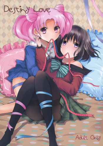 (C83) [momoirohoppe (Rei)] Destiny Love (Bishoujo Senshi Sailor Moon) cover