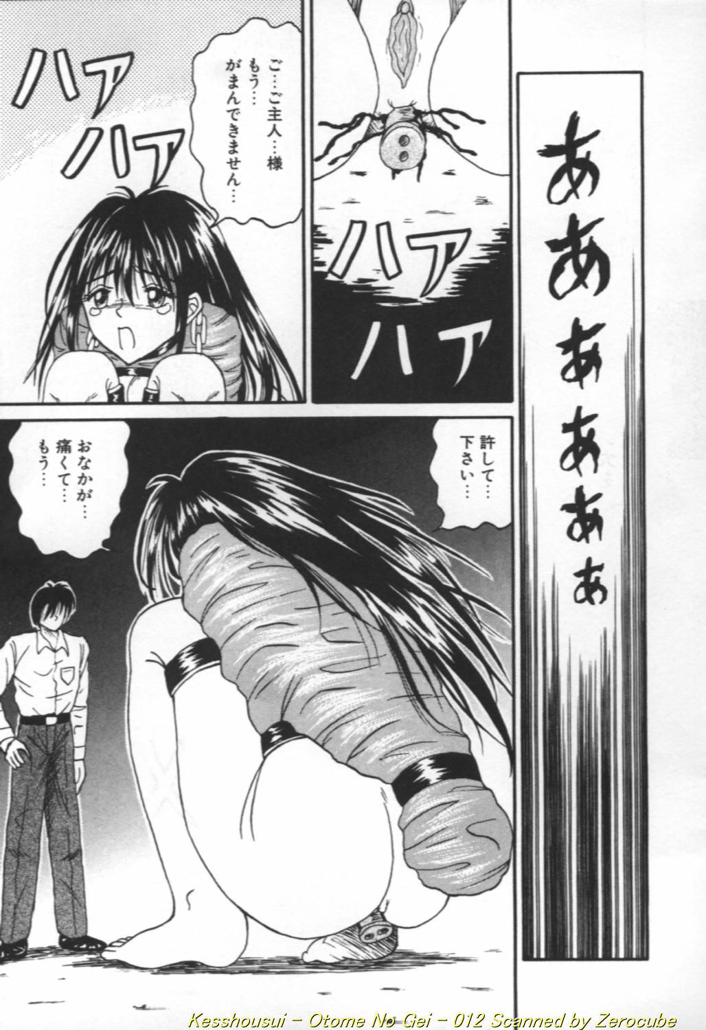 Otome no Gei page 12 full