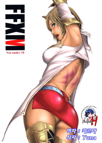 (C70) [M (Amano Ameno)] FFXM (Final Fantasy XII) [Korean] [Project H] cover