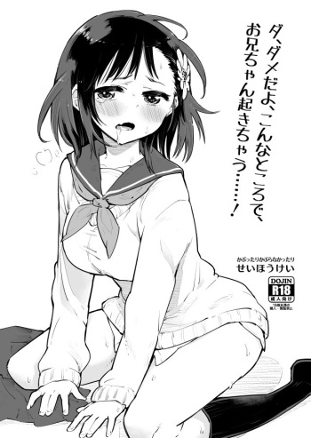 [Seihoukei] Da, Dame da yo Konna Tokoro de, Onii-chan ga Okichau......! cover