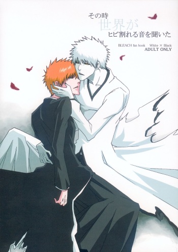 [Gyoukou (Rioka Masaki)] Sono Toki Sekai ga Hibi Wareru Oto wo Kiita (Bleach) cover