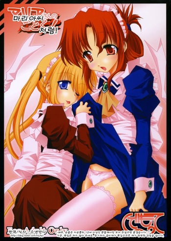 (Comic Castle 2006) [Ndemotte (200X Zoom, KOIZUMI)] Maria-san no Gotoku! | 마리아씨처럼! (Hayate no Gotoku!) [Korean] [소년반디] cover