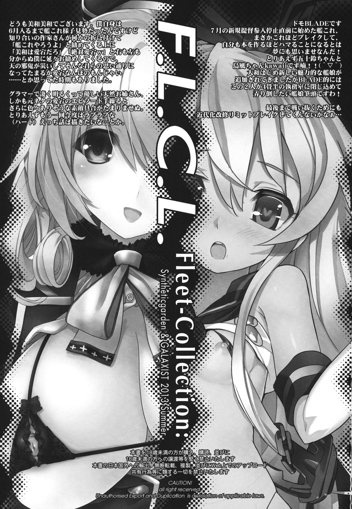 F.L.C.L. Fleet-Collection: page 2 full