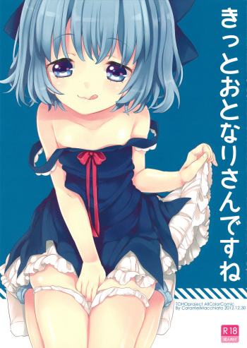 (C83) [Caramel Macchiato (Maki)] Kitto Otonari-san desu ne (Touhou Project) [Russian] [Black Rock Team] cover