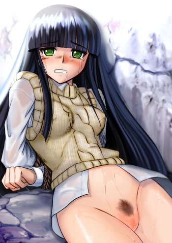 (C74) [Youkai Ankake (Pickles)] Tobe nai Tori 3 ~Kago no Tori~ (Gad Guard) [Textless] cover