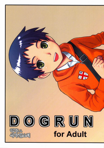 (C81) [Reflection (U-hi)] Dog Run [Korean] cover