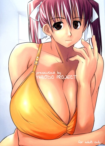(C65) [Yaboudo Project (Narashino Zoe)] Somewhere Wonderful cover