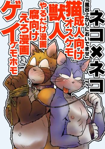 [Maririn] ネコ・ゲイえろ漫画 [Y] cover