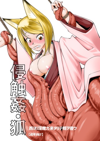 [Random Parts] Shinshokukan Kitsune cover