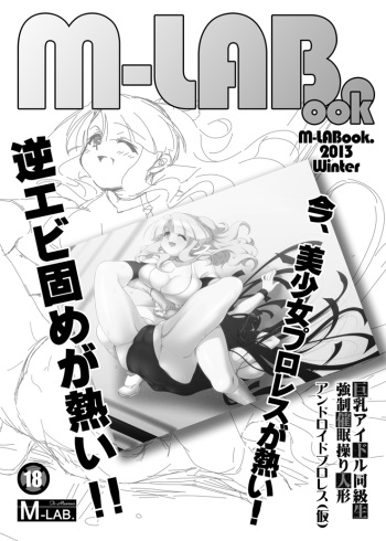 [M-LAB.] M-LABook.2013Winter DL版 cover