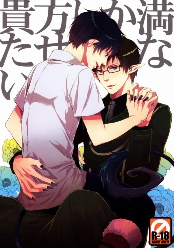 (SPARK6) [FIZZCODE (Satonishi)] Anata Shika Mitasenai. (Ao no Exorcist) cover