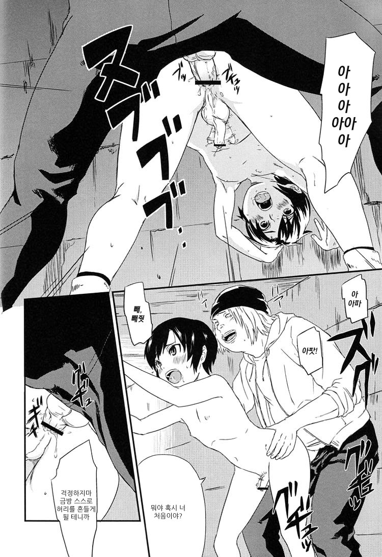 Anthurium page 12 full