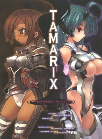 (C73) [GALAXIST×SyntheticGarden] TAMARIX (Fantasy Earth ZERO) cover