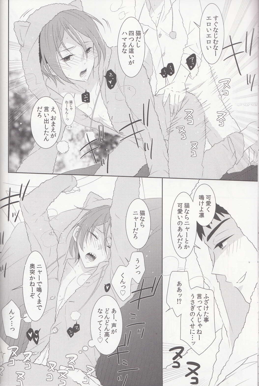 mocoRIN page 11 full