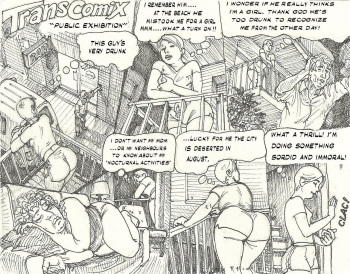 [Fidelenrich] TransComix - Public Exhibition cover