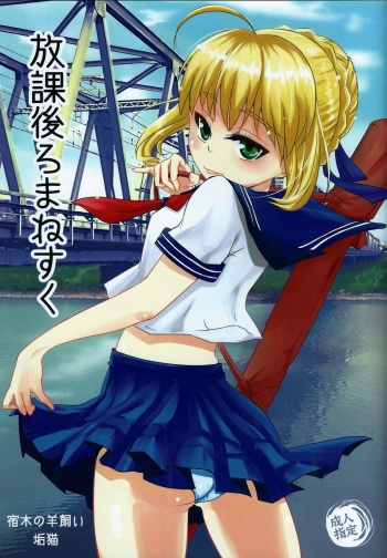 (C86) [Yadogiri no Hitsujikai (Aka Neko)] Houkago Romance (Fate/Stay Night) cover