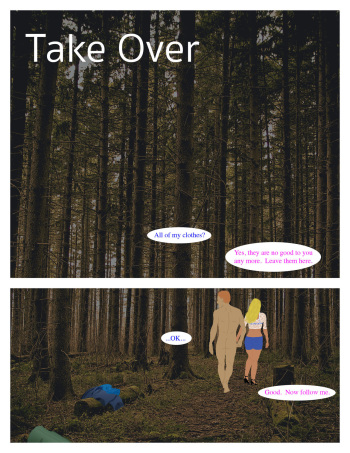 Take Over cover