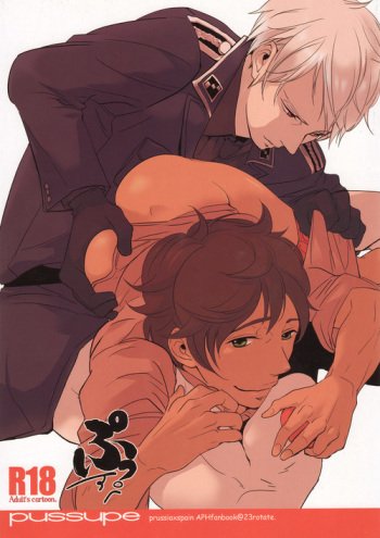 (C79) [gunjuice (Pappara)] pussupe (Hetalia: Axis Powers) cover
